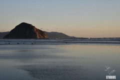 SanClemente2191_wm-protected-intensity-DEFAULT-V2