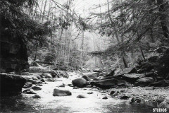 creekbed-protected-intensity-DEFAULT-V2